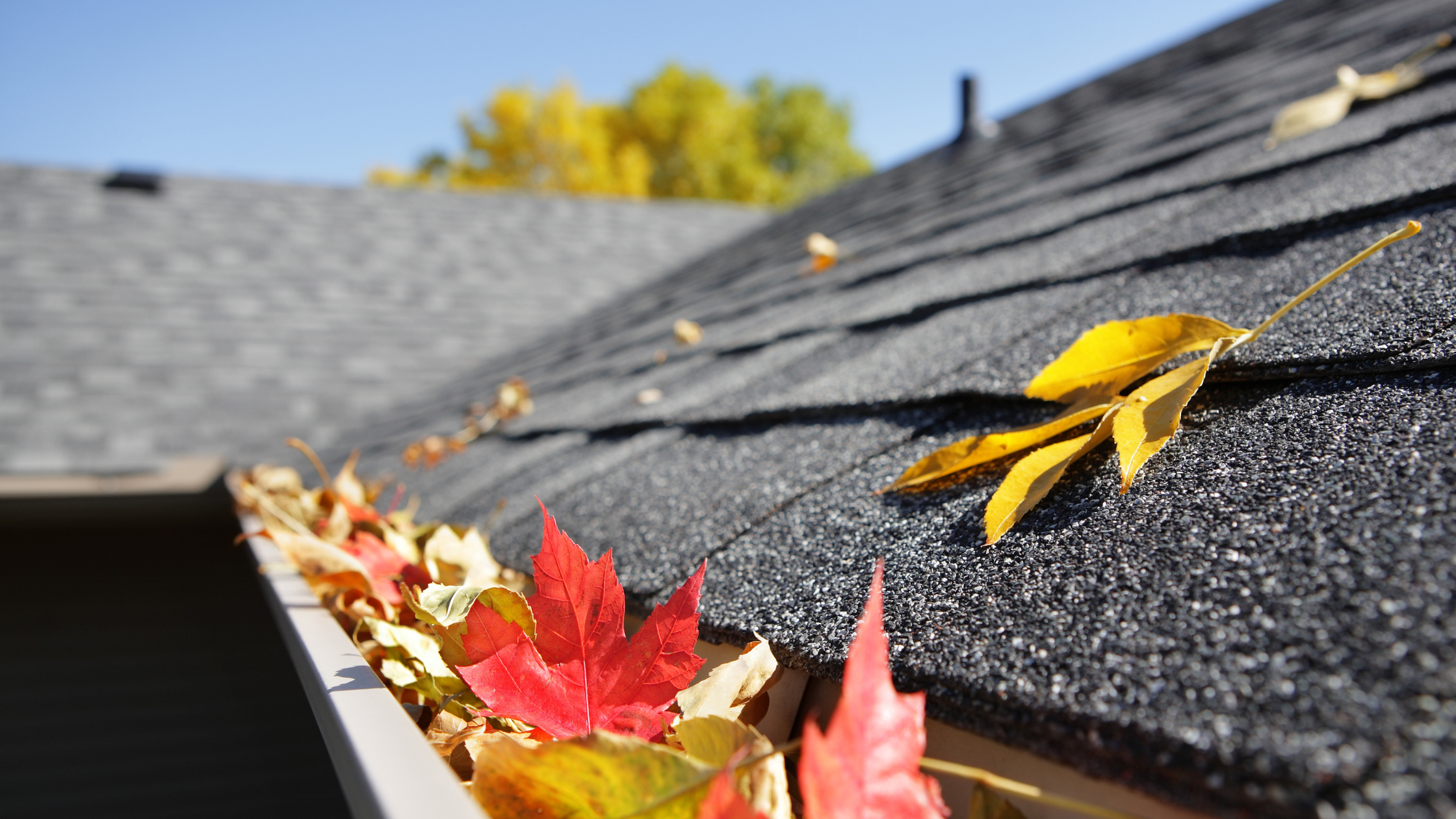 How to Prepare Your Home’s Exterior for Fall Weather in Denver, Colorado